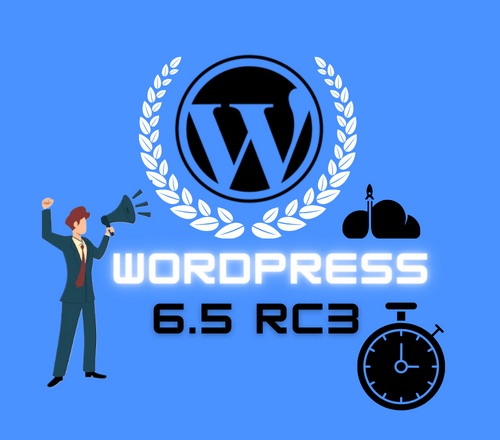 Revealing WordPress 6.5 RC3: The Next Frontier in Web Development