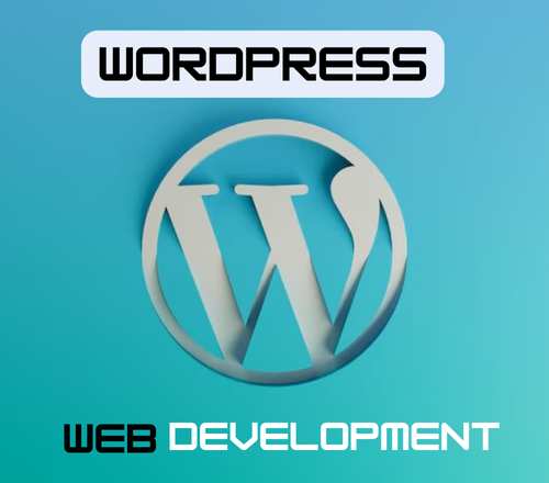 A Complete Manual to WordPress Web Development in the Year 2024
